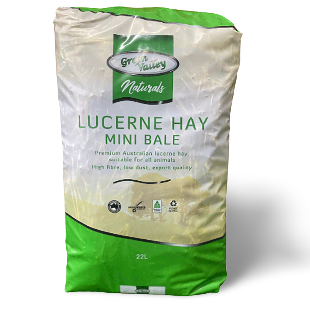 Lucerne Hay Mini Bale For Small Pets
