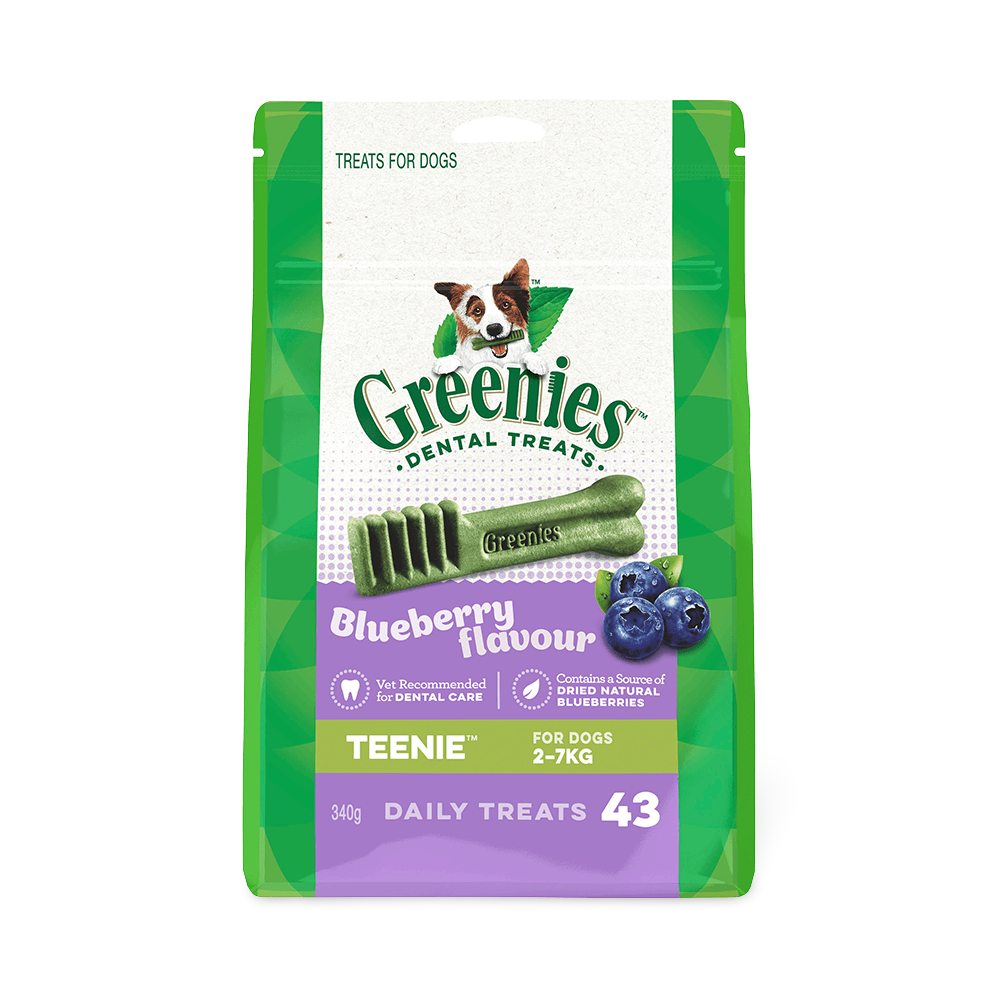 Blueberry Flavour Teenie Dog Dental Treats