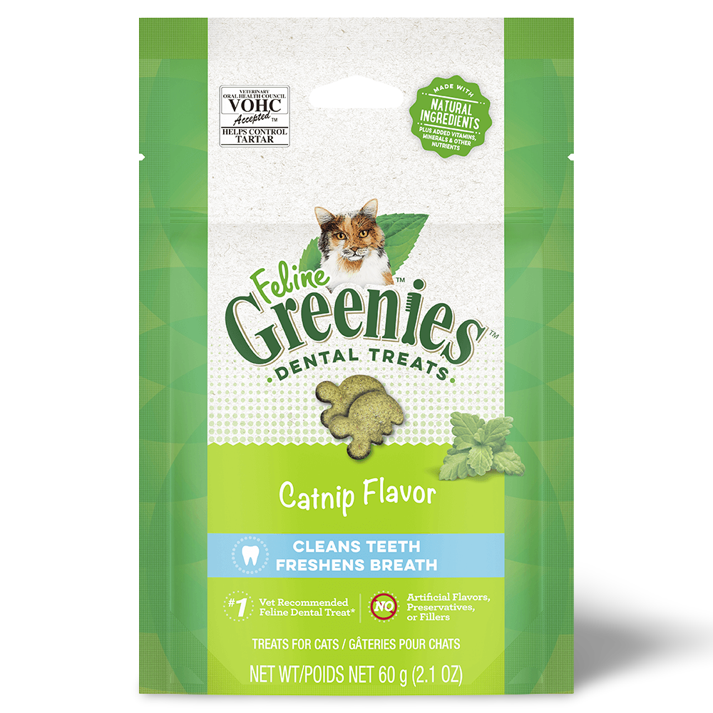 Cat Treats Dental Catnip Flavour