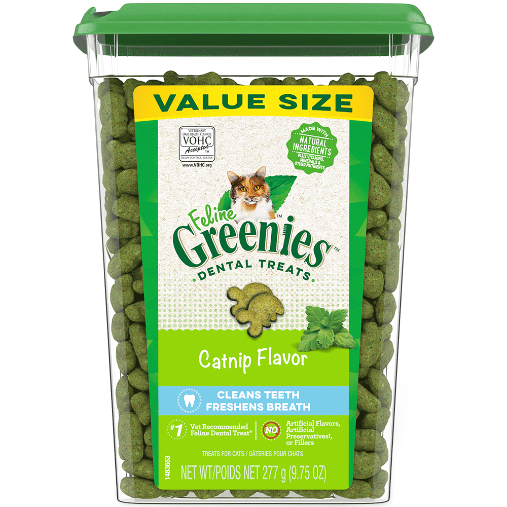 Feline Treats Dental Catnip Flavour Tub