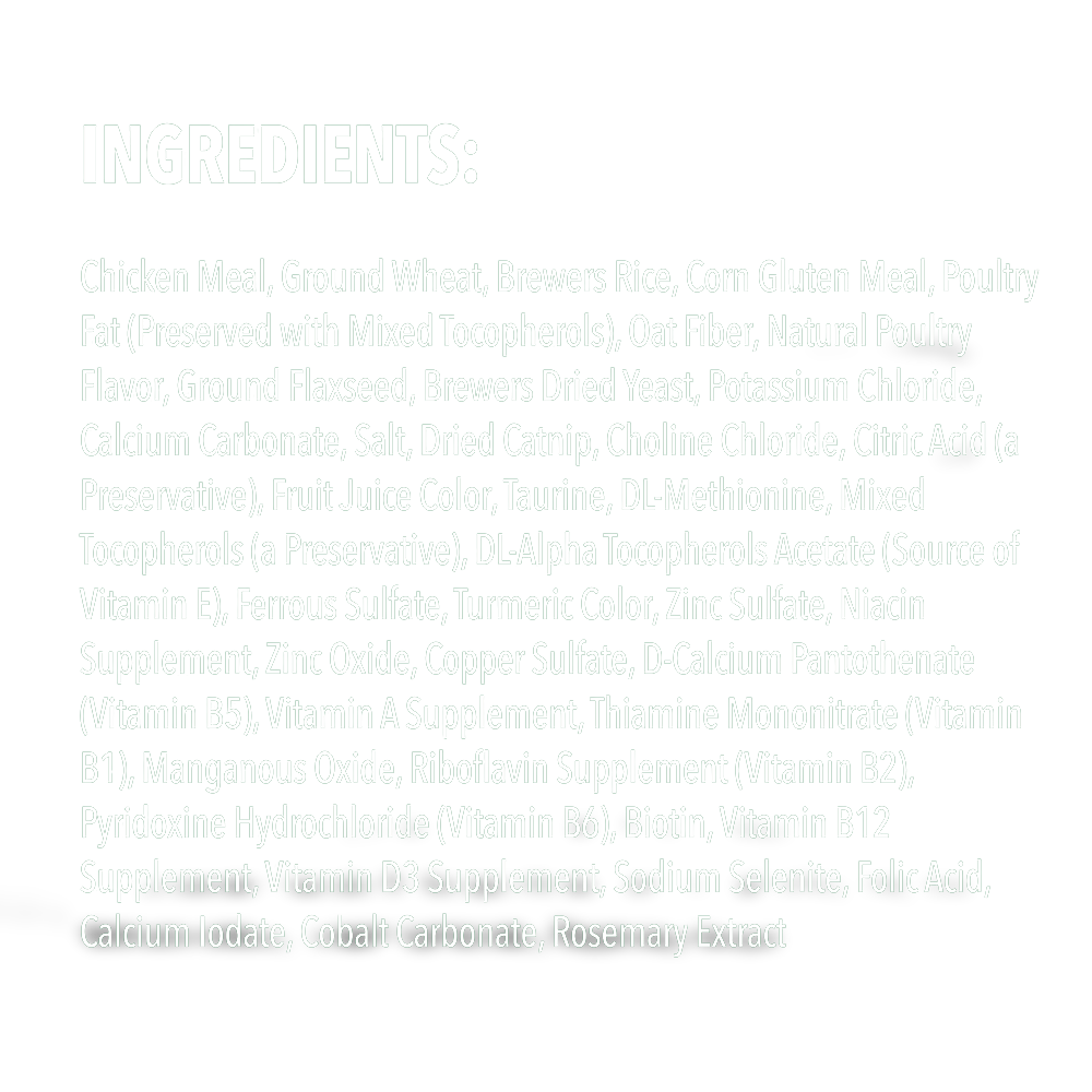 Feline Treats Dental Catnip Flavour Tub