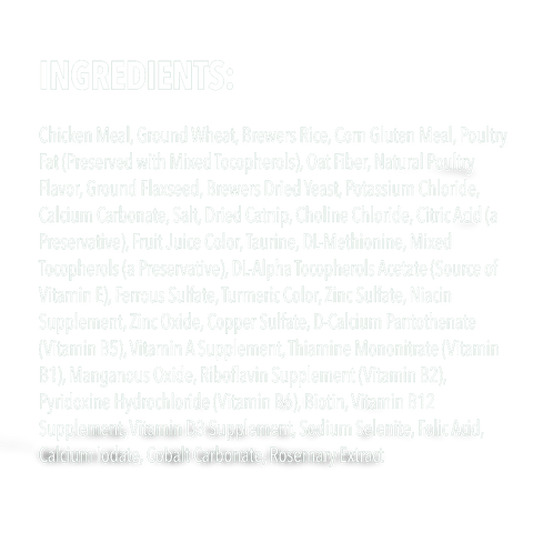 Feline Treats Dental Catnip Flavour Tub