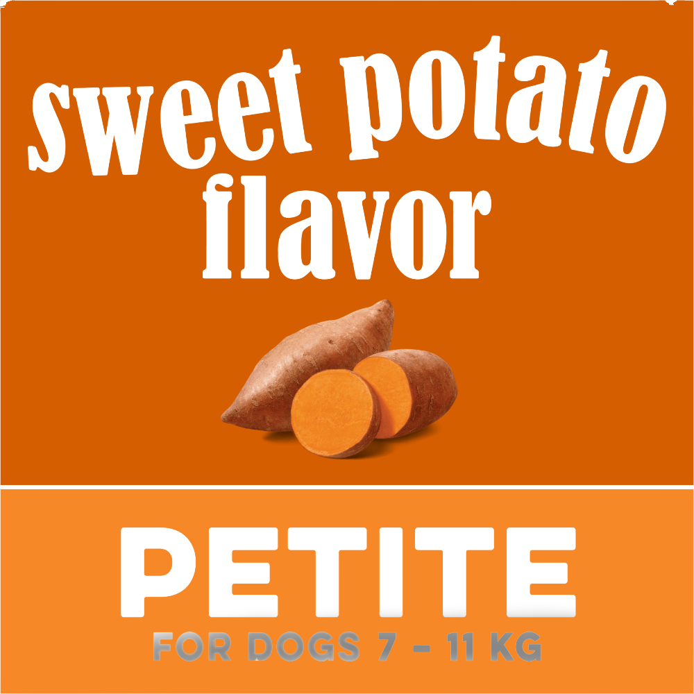Sweet Potato Flavoured Petite Dog Dental Treats