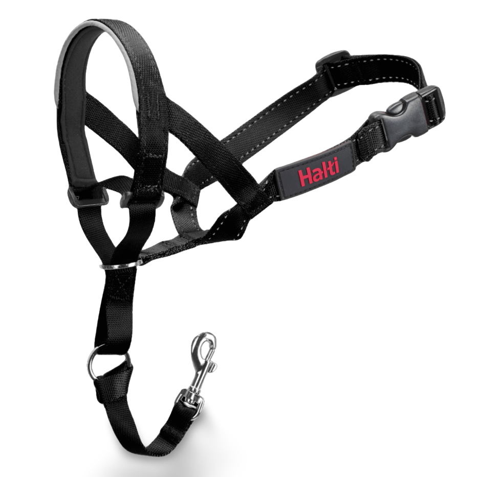 Dog Training Head Collar in Black