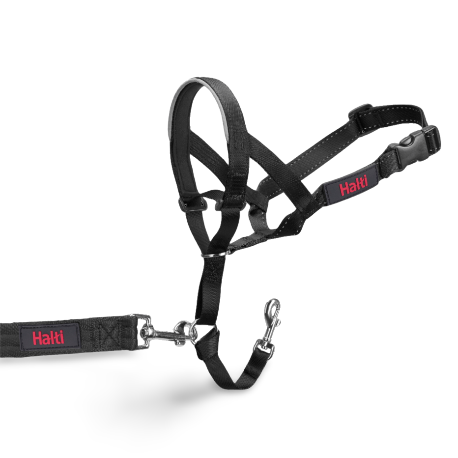 Dog Training Head Collar in Black