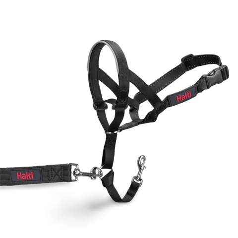 Dog Training Head Collar in Black