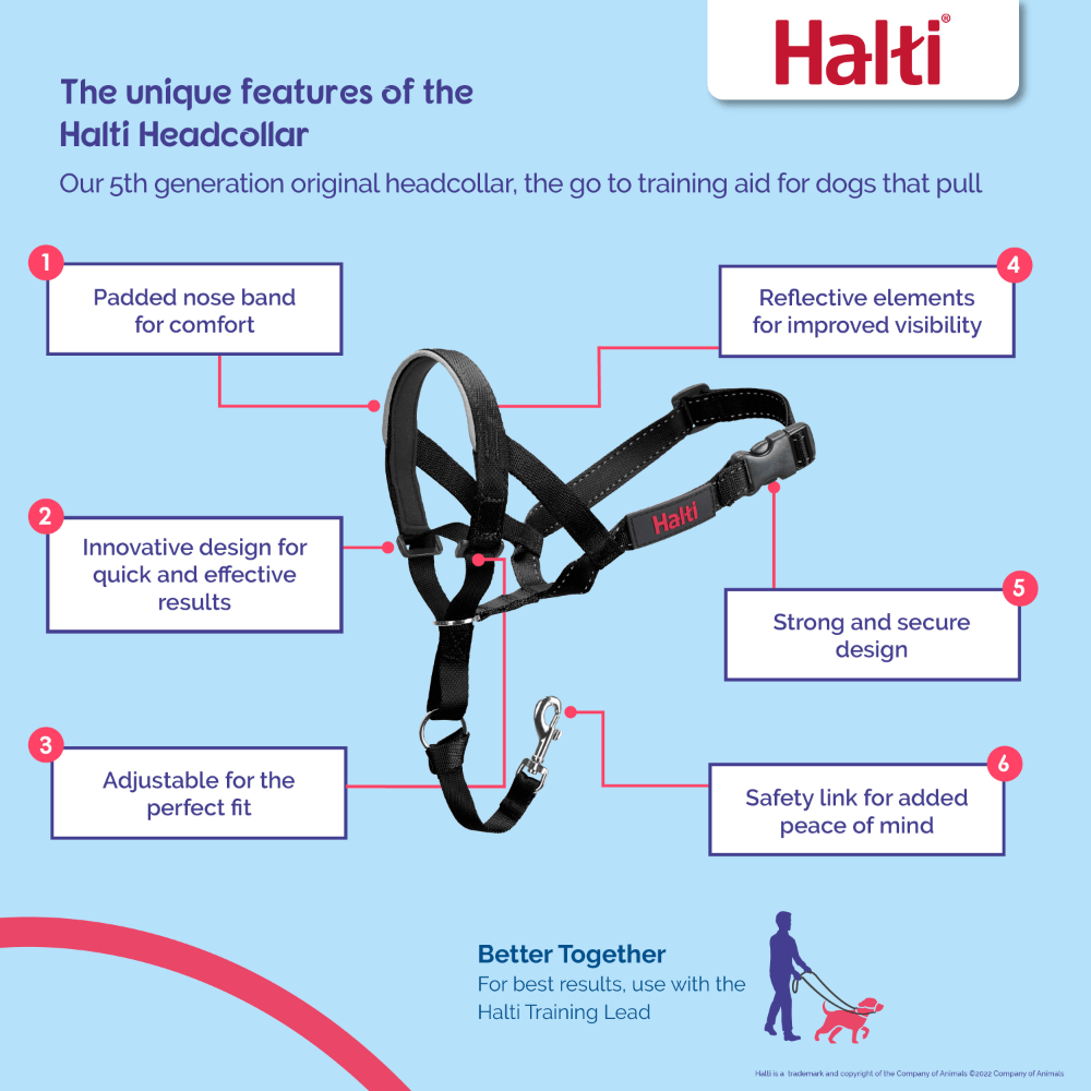 Dog Training Head Collar in Black