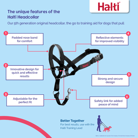 Dog Training Head Collar in Black
