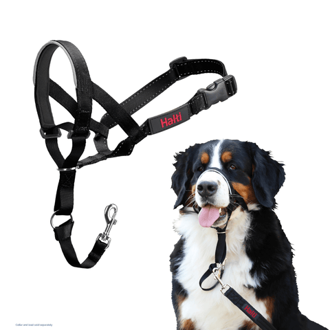 Dog Training Head Collar in Black