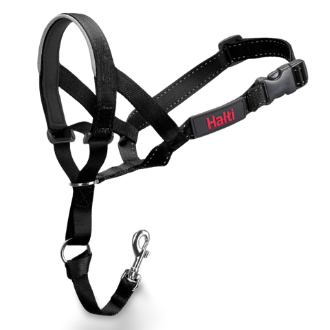 Dog Training Head Collar in Black