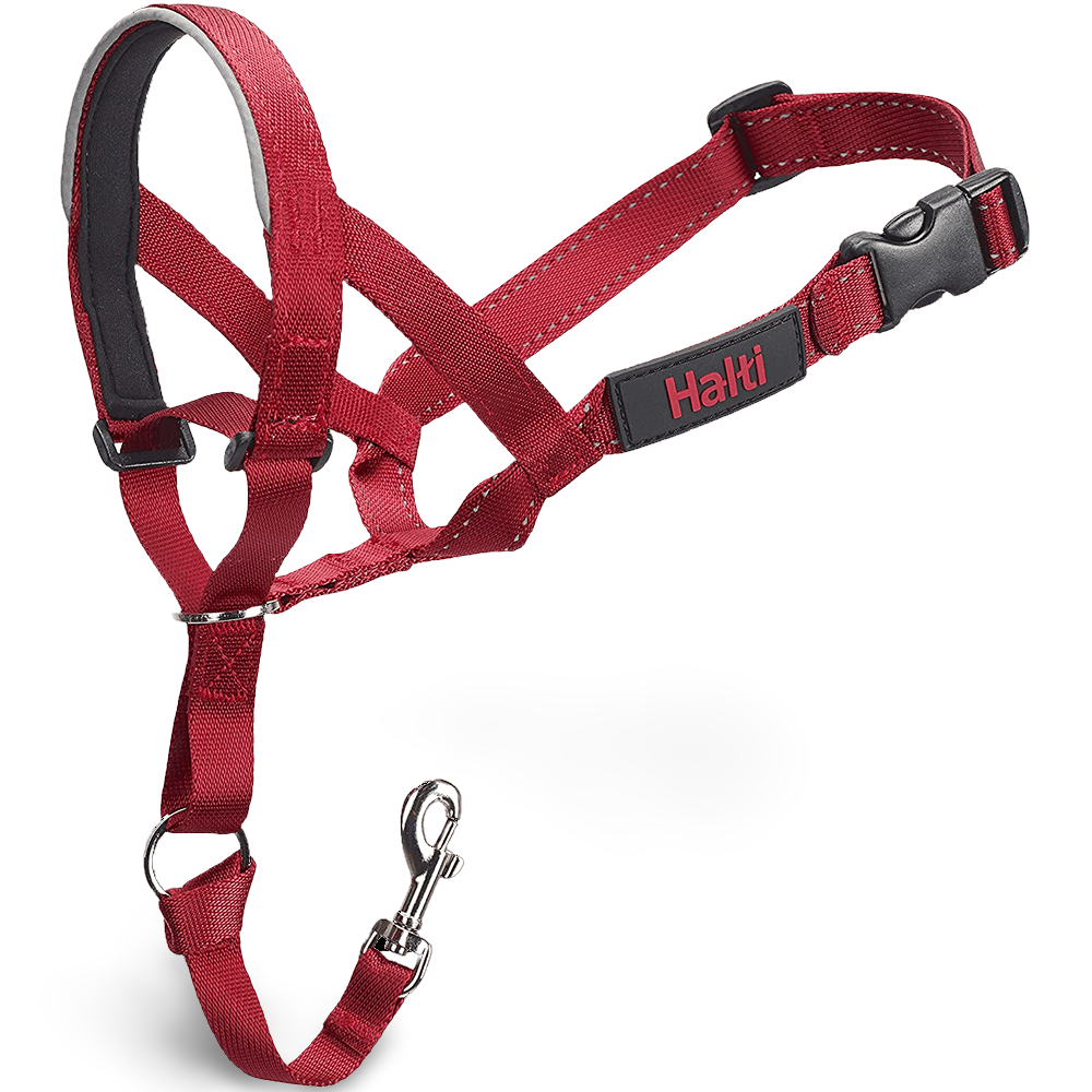 Dog Training Head Collar in Red