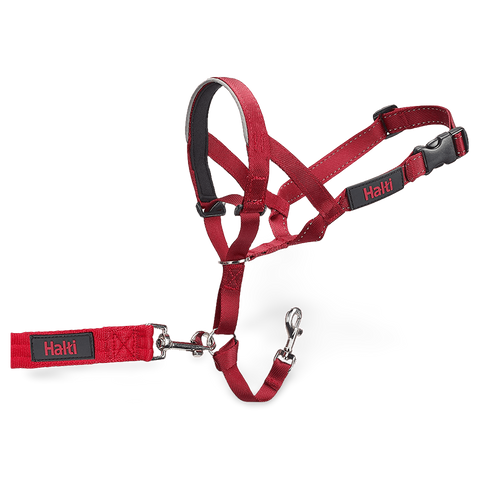 Dog Training Head Collar in Red