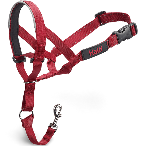 Dog Training Head Collar in Red