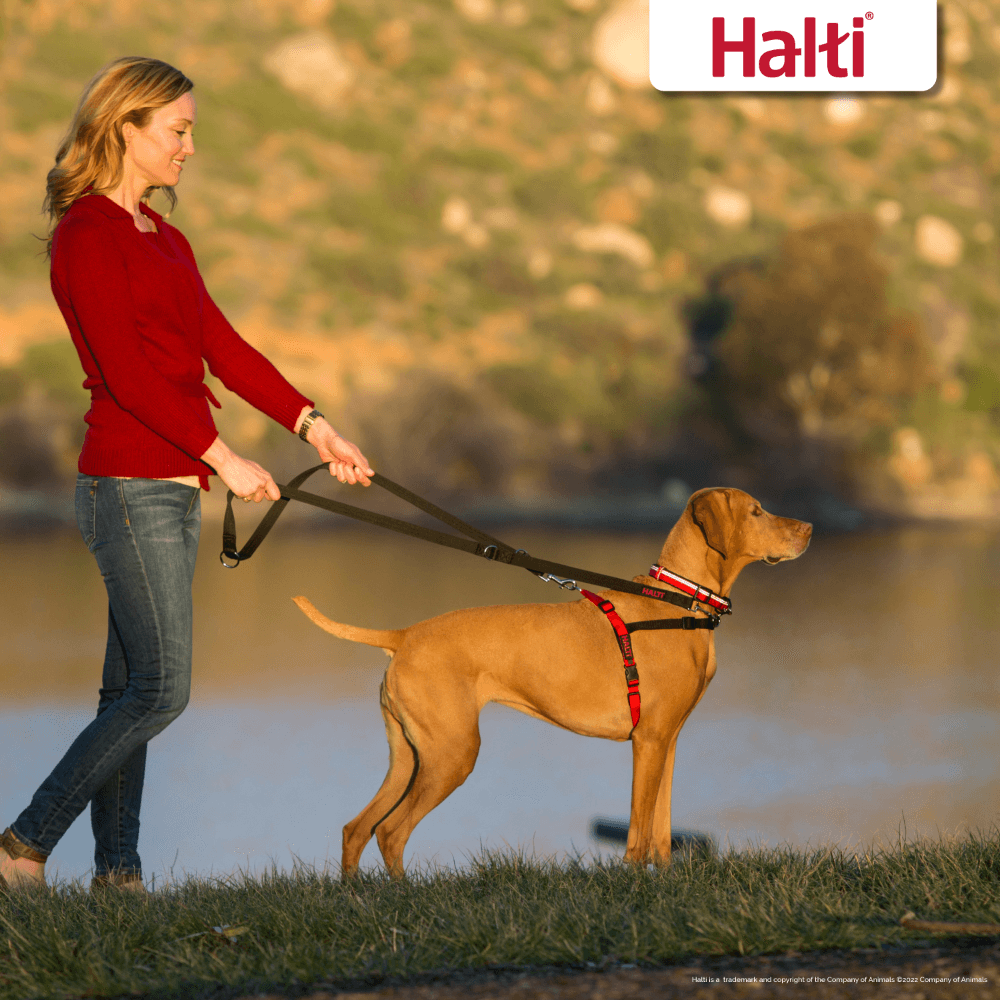 Front Control Dog Harness Black & Red