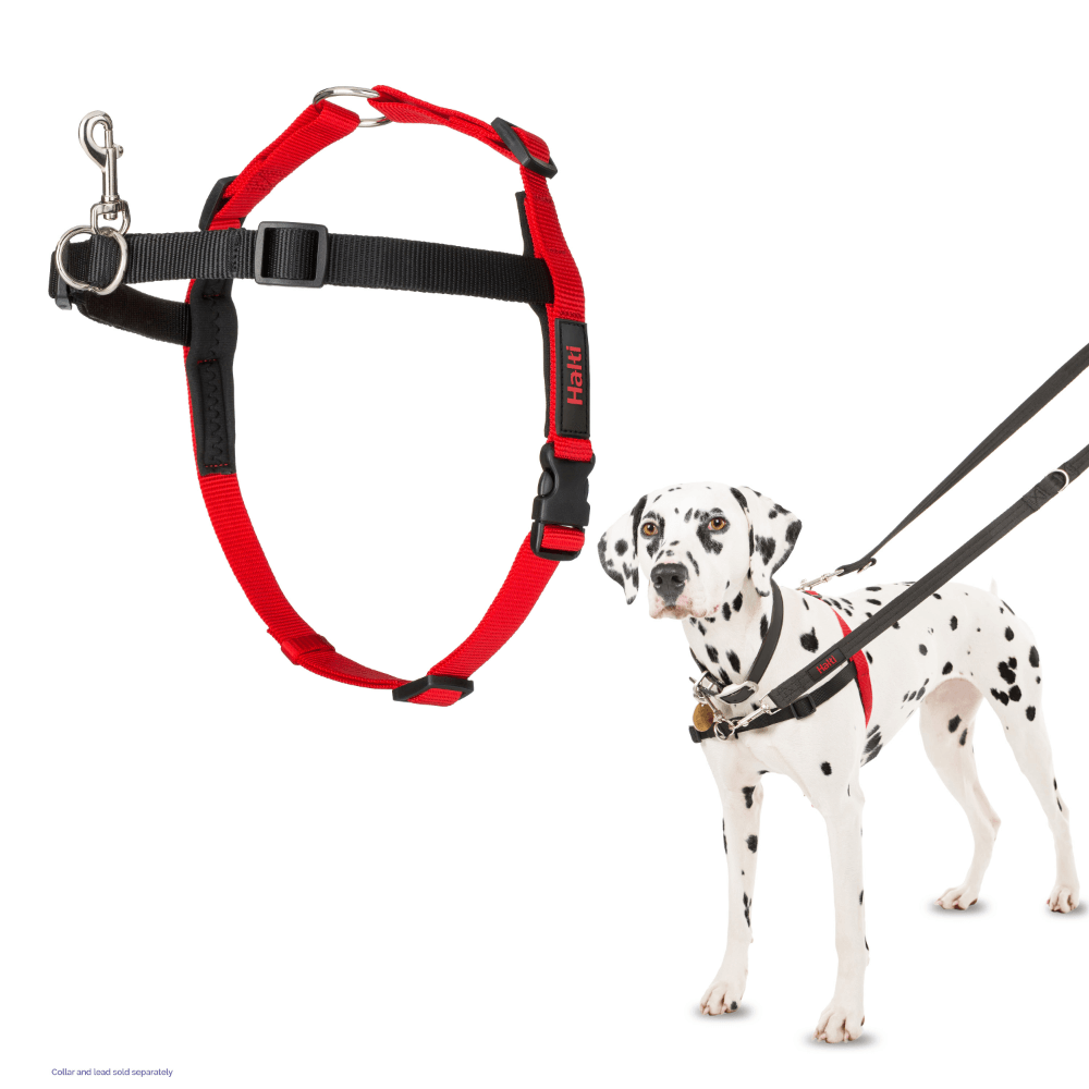 Front Control Dog Harness Black & Red