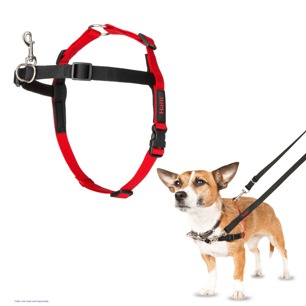 Front Control Dog Harness Black & Red