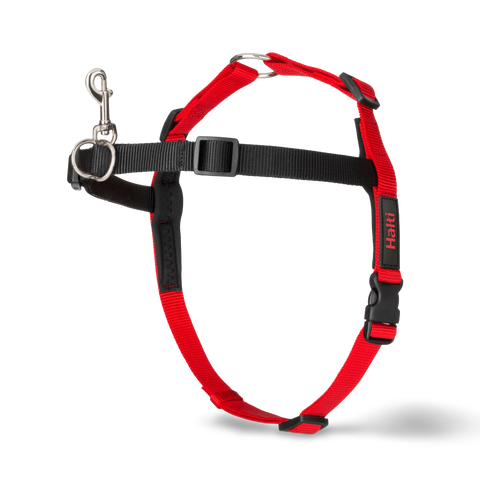 Front Control Dog Harness Black & Red