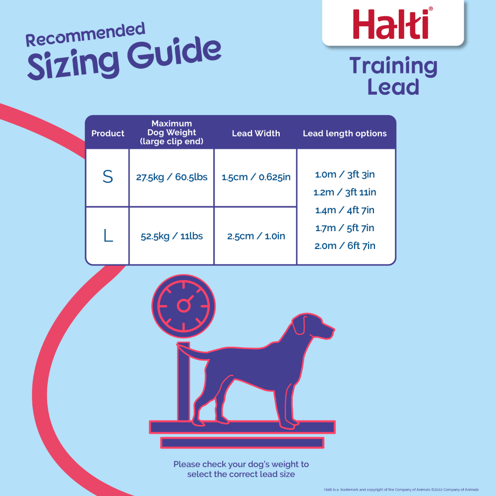 Multi Function Dog Training Lead in Black