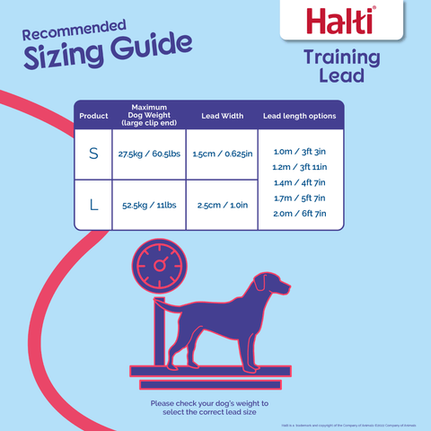 Multi Function Dog Training Lead in Black
