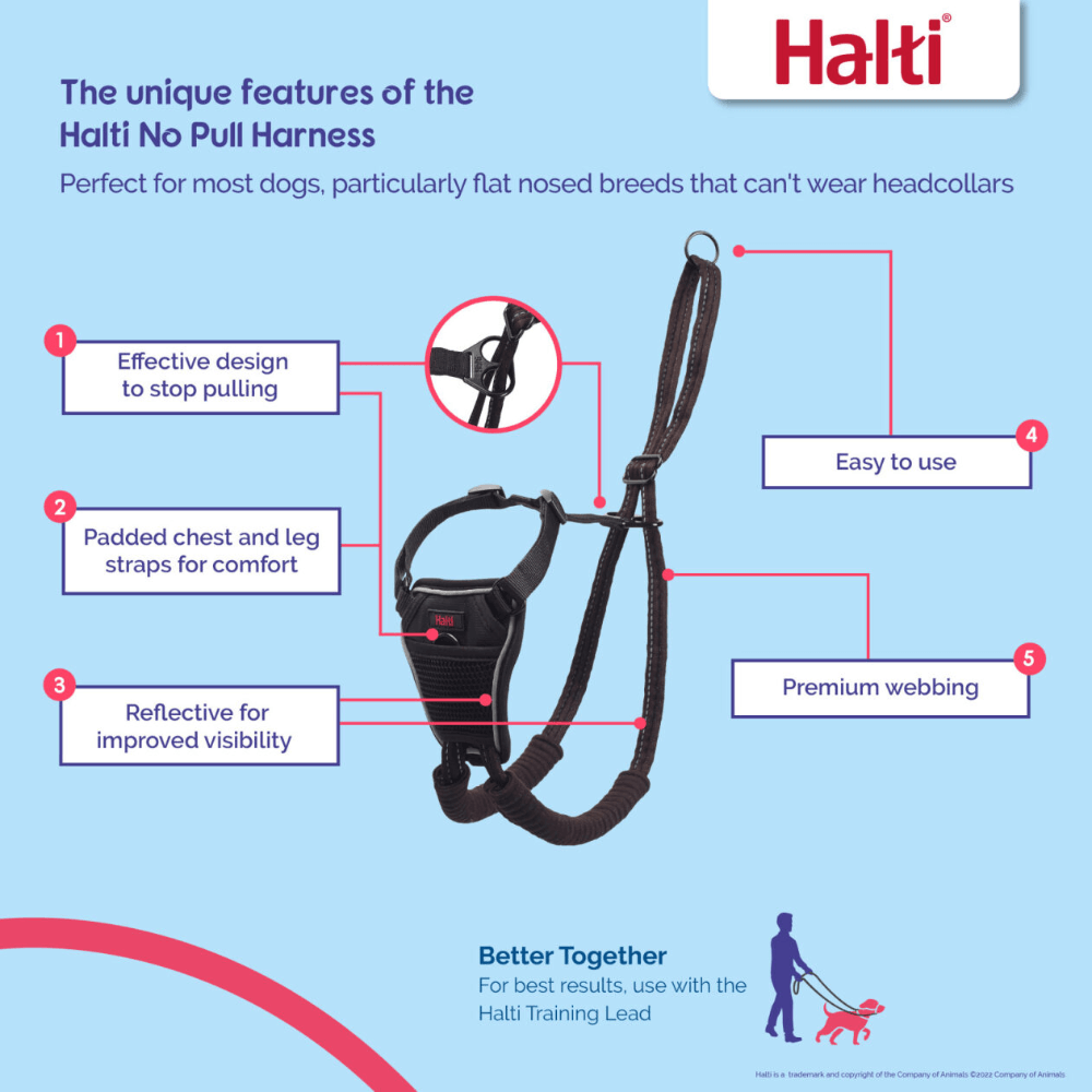 No Pull Dog Harness Black