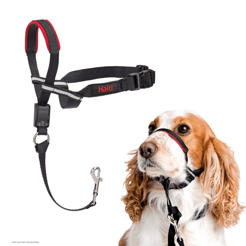 Optifit Dog Head Collar in Black