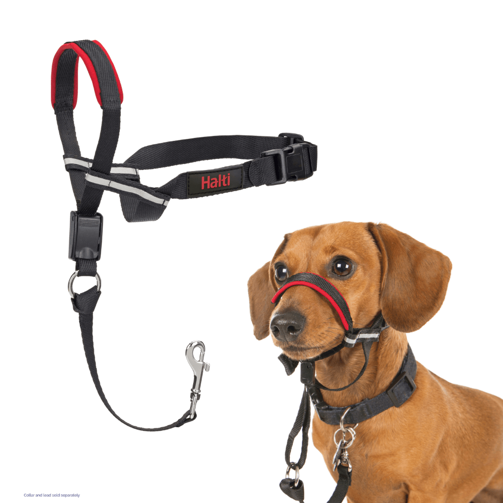 Optifit Dog Head Collar in Black