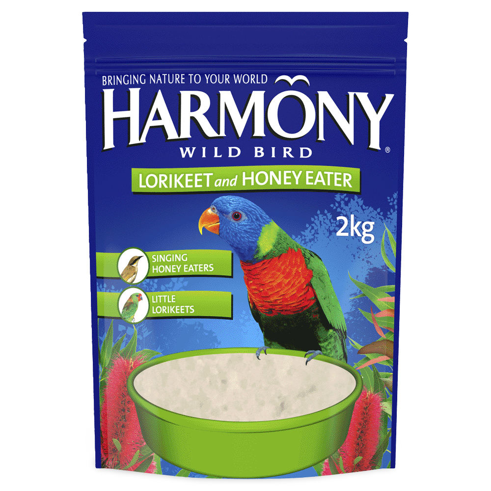 Lorikeet And Honeyeater Mix