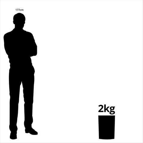 Lorikeet And Honeyeater Mix