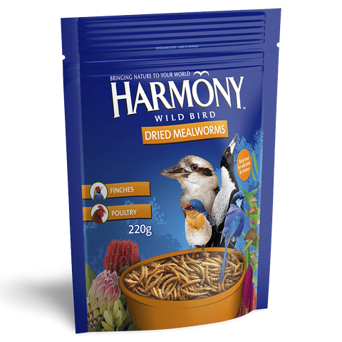 Dried Mealworms