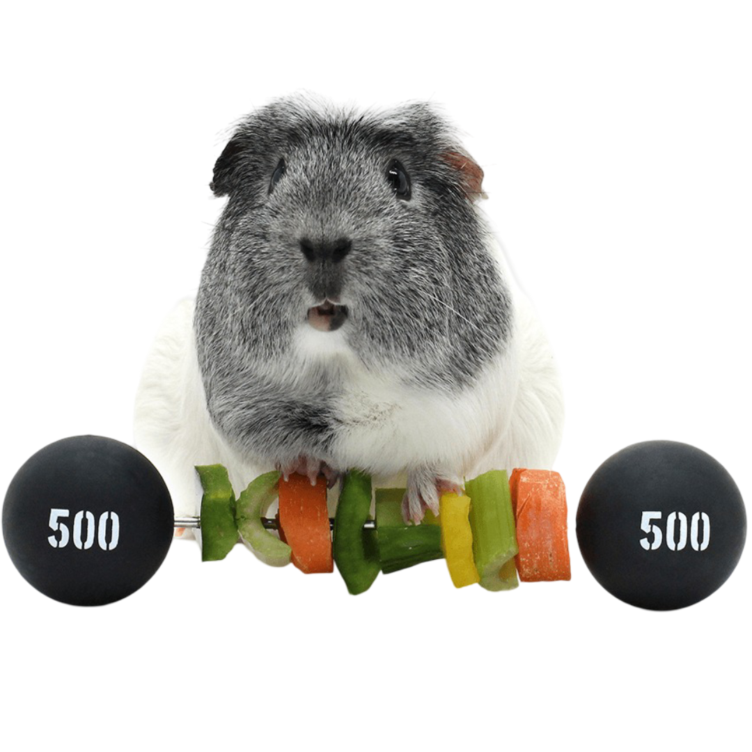 Haypigs Piggy Weight Lifter Vegetable Kebab Maker