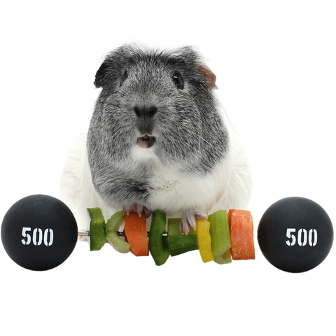 Haypigs Piggy Weight Lifter Vegetable Kebab Maker