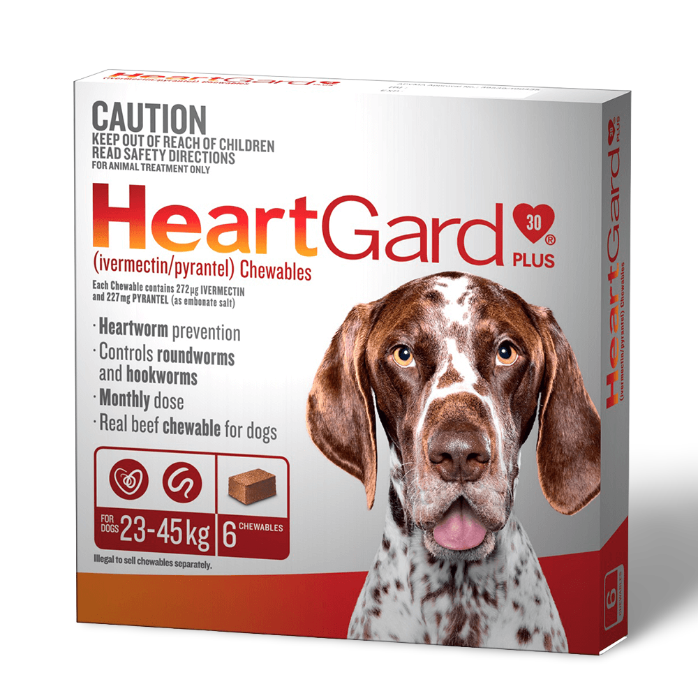 Plus Worming Chews Large Dog Brown