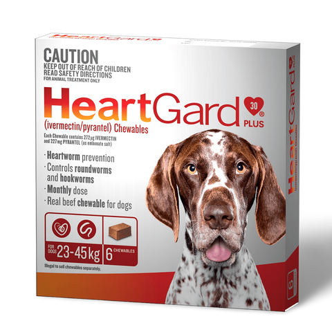 Plus Worming Chews Large Dog Brown