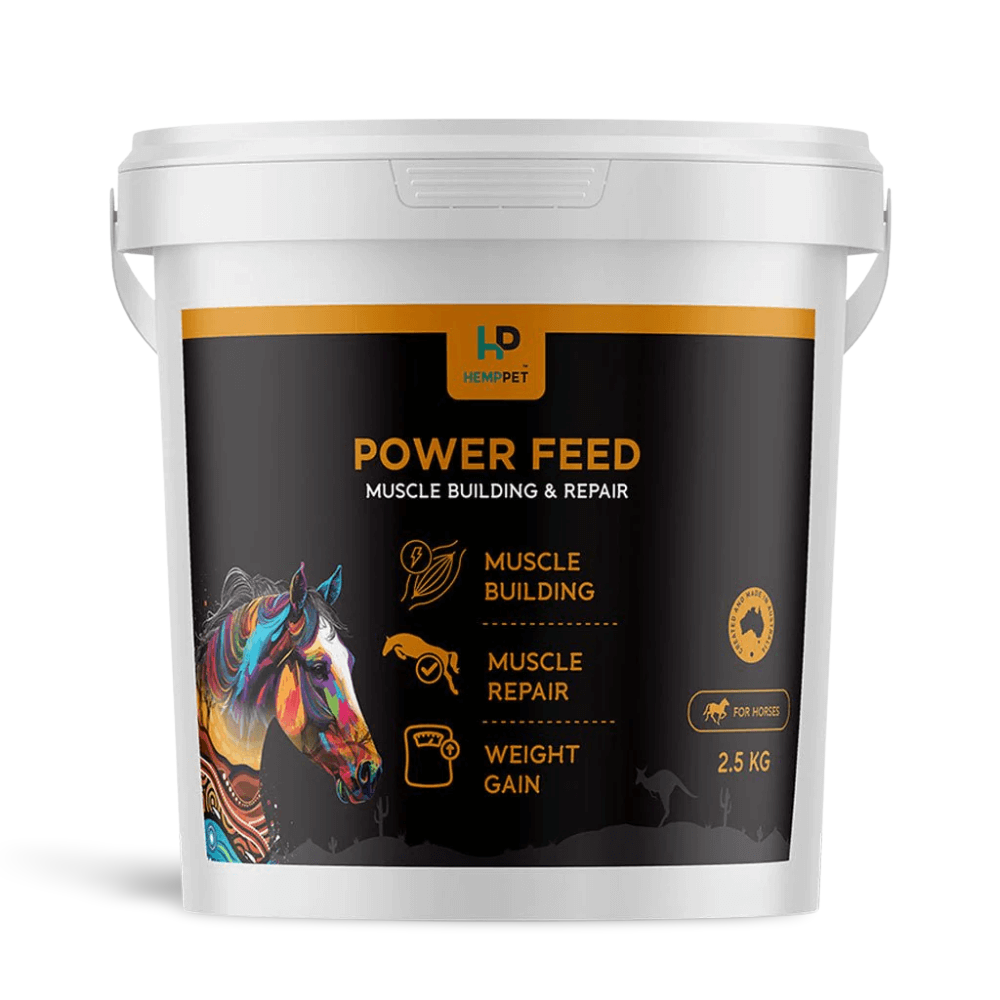 Power Feed Muscle Building and Repair