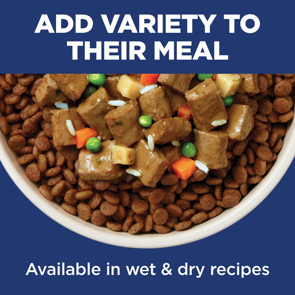 Chicken & Barley Recipe Adult Dry Dog Food