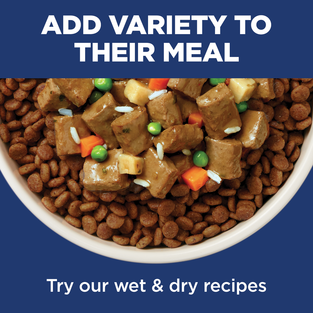 Light Chicken & Barley Adult Dry Dog Food