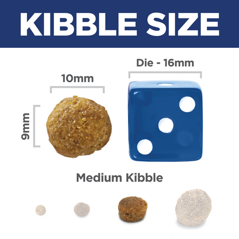 Chicken & Barley Recipe Adult Dry Dog Food