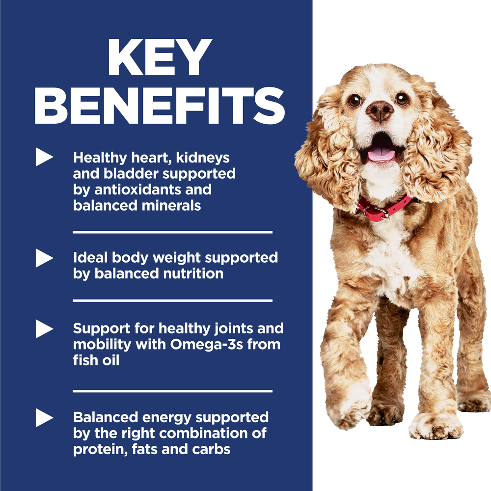 11 Plus Chicken & Brown Rice Small Mini Senior Dry Dog Food