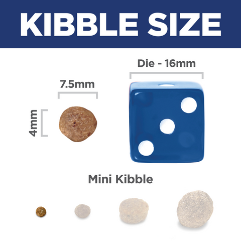 11 Plus Chicken & Brown Rice Small Mini Senior Dry Dog Food