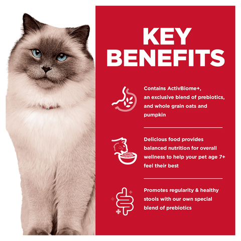 Adult 7 Plus Perfect Digestion Dry Cat Food