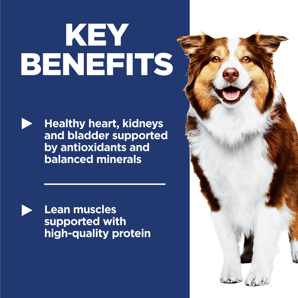 7 Plus Chicken Barley & Rice Senior Dry Dog Food