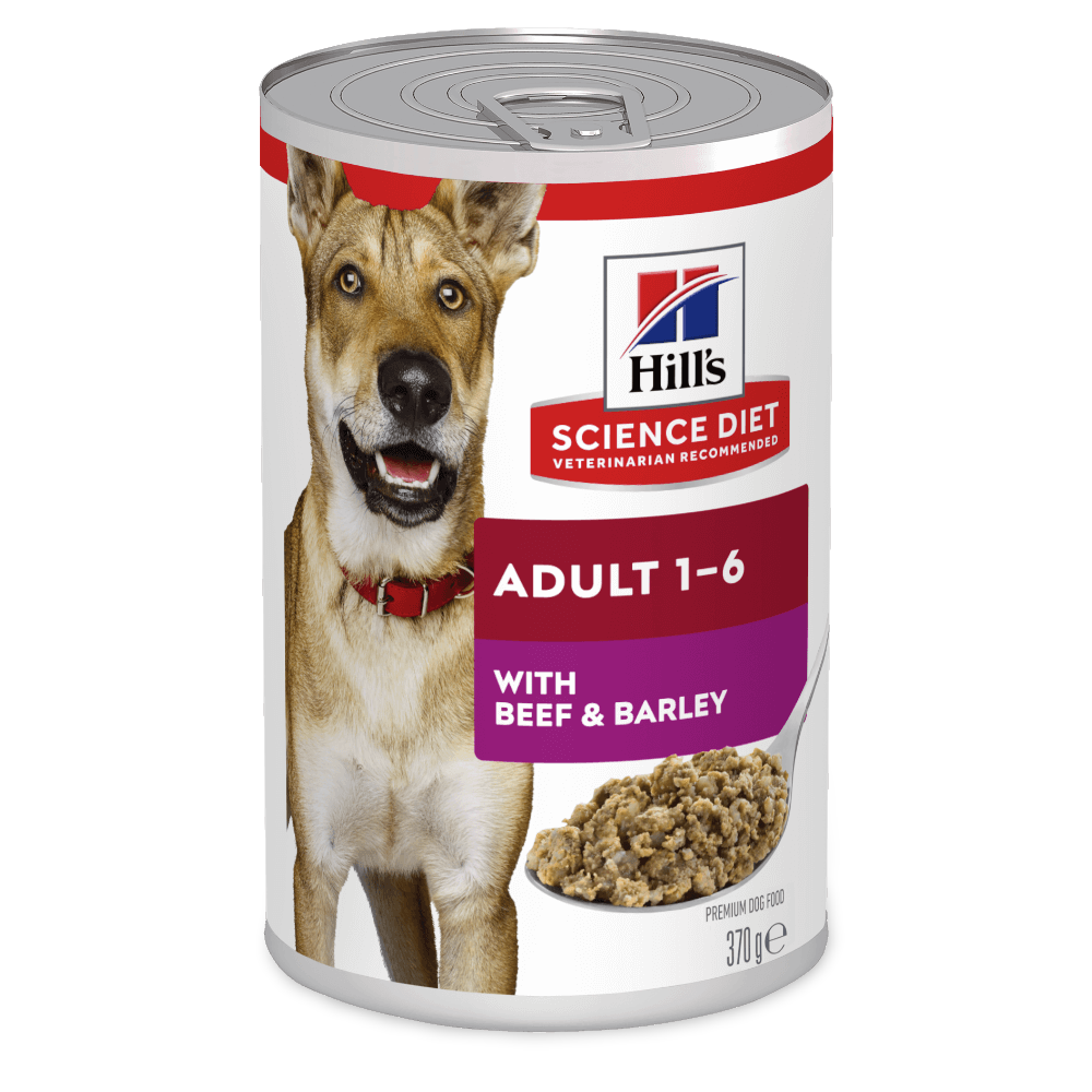 Beef & Barley Adult Wet Dog Food