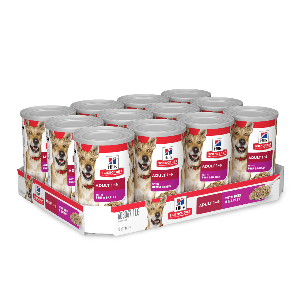 Beef & Barley Adult Wet Dog Food