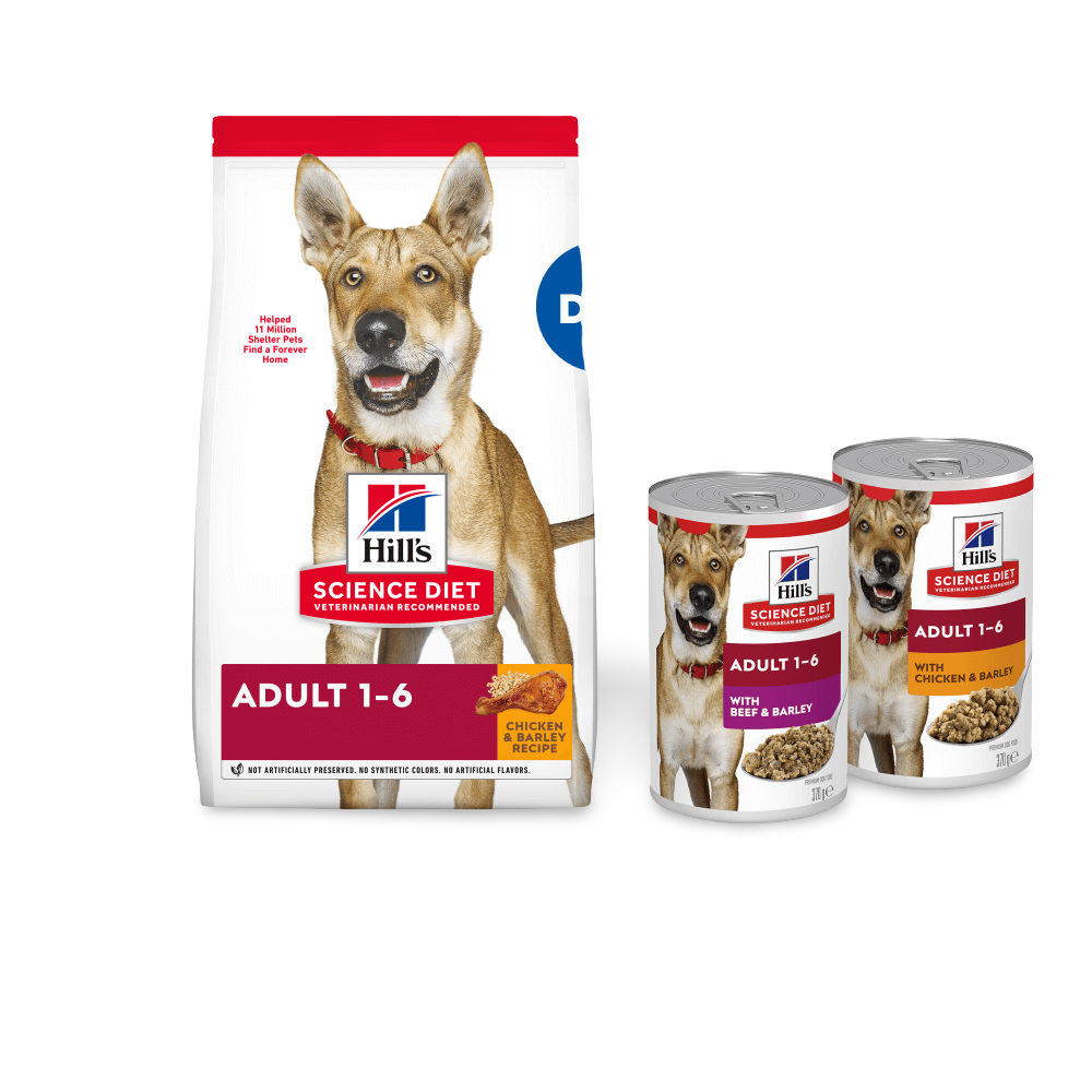 Beef & Barley Adult Wet Dog Food