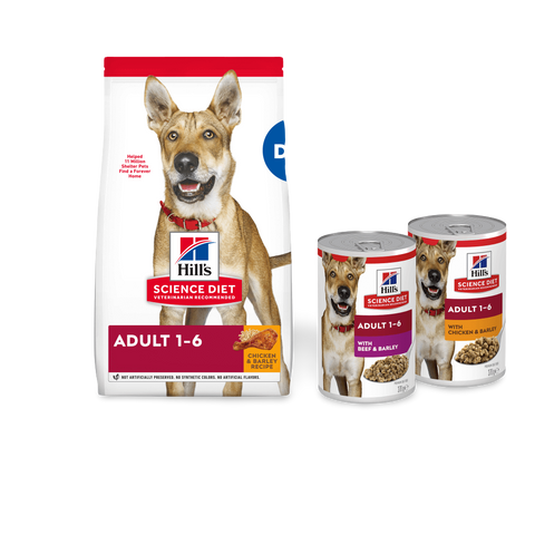 Beef & Barley Adult Wet Dog Food