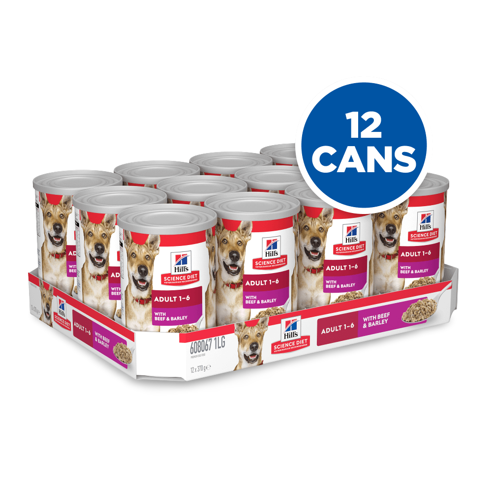 Beef & Barley Adult Wet Dog Food