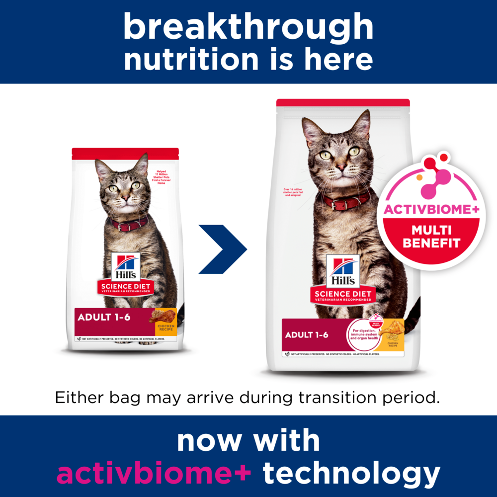 Adult Cat Dry Food