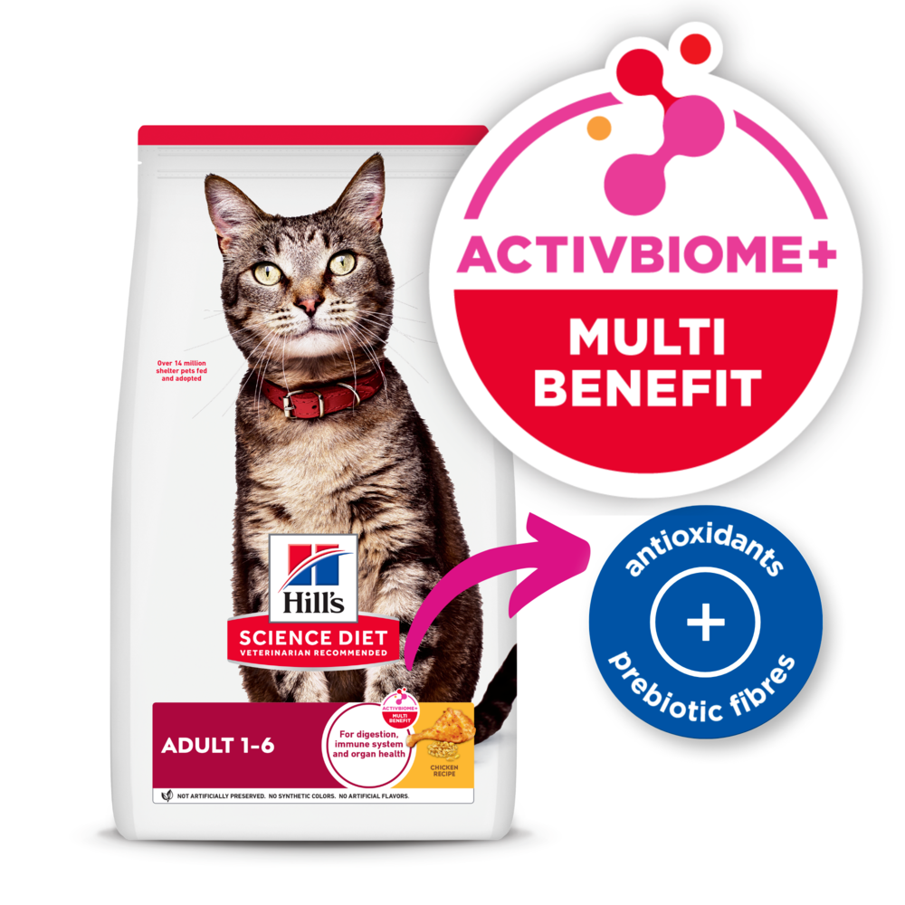 Adult Cat Dry Food