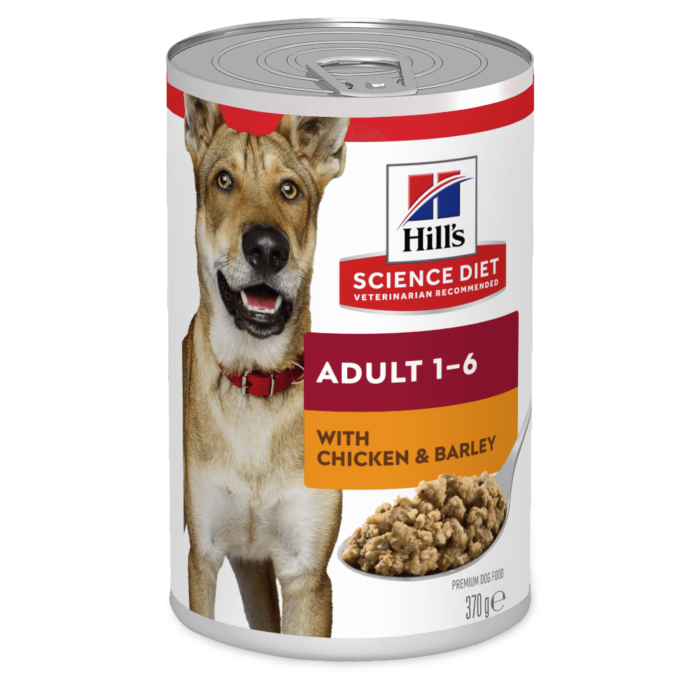 Chicken & Barley Adult Wet Dog Food
