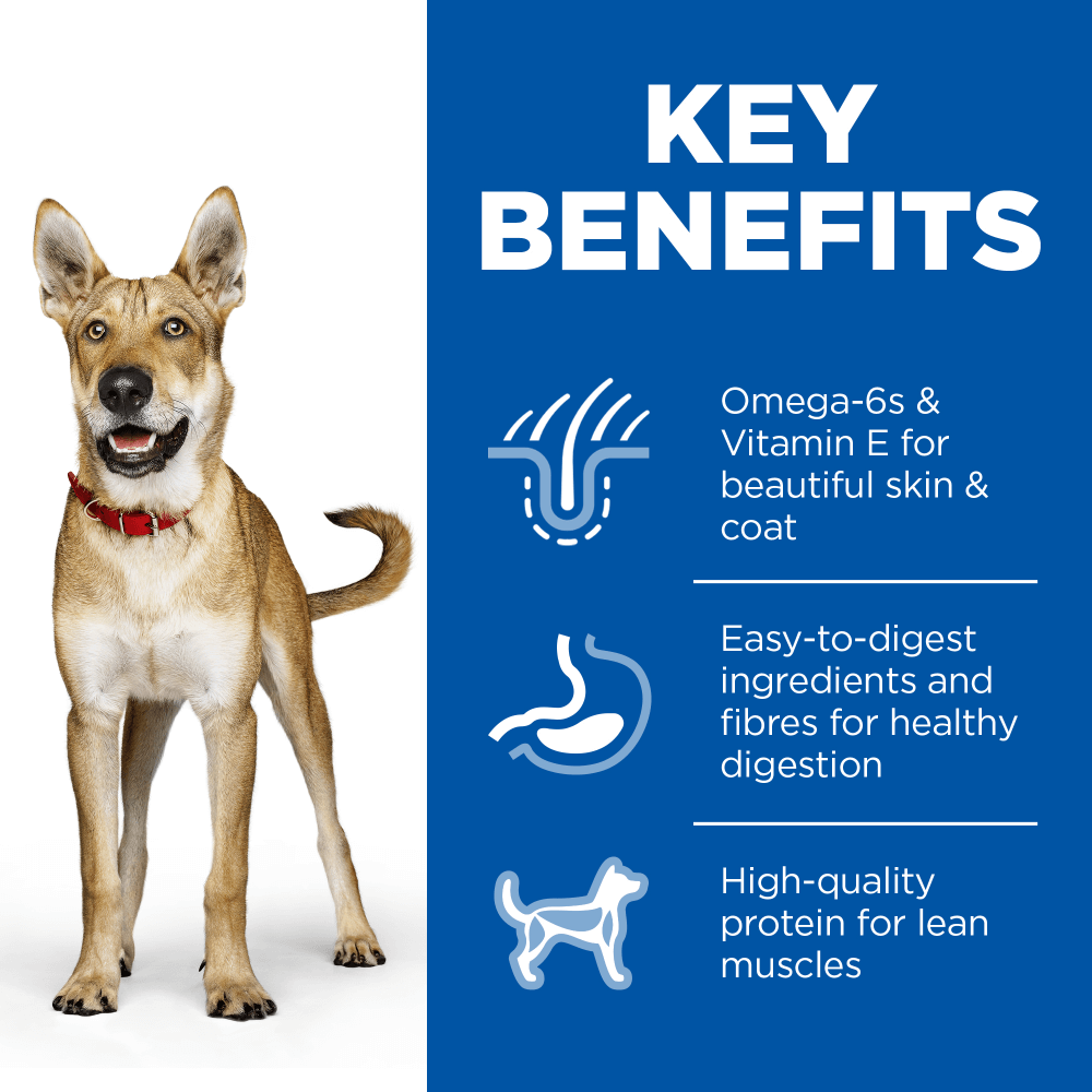 Chicken & Barley Adult Wet Dog Food